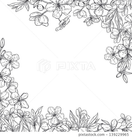 Monochrome fruit tree blossom flower frame vector illustration. Hand drawn pear or cherry flowers with leaves border with empty area for text. Botanical sketch for greeting card, wedding invitation Monochrome fruit tree blossom flower frame vector illustration. Hand drawn pear or cherry flowers with leaves border with empty area for text. Botanical sketch for greeting card, wedding invitation 139229965