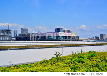 東京都中央批發市場、豐洲市場 東京都中央批發市場、豐洲市場 139230203