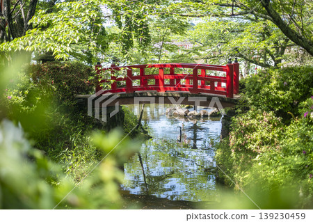 倉吉市宇吹公園的清新綠意和初夏景色 倉吉市宇吹公園的清新綠意和初夏景色 139230459