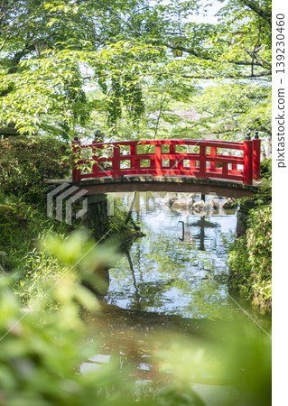 Fresh greenery and early summer scenery at Utsubuki Park, Kurayoshi City Fresh greenery and early summer scenery at Utsubuki Park, Kurayoshi City 139230460