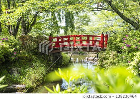 Fresh greenery and early summer scenery at Utsubuki Park, Kurayoshi City Fresh greenery and early summer scenery at Utsubuki Park, Kurayoshi City 139230464