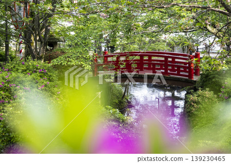 倉吉市宇吹公園的清新綠意和初夏景色 倉吉市宇吹公園的清新綠意和初夏景色 139230465