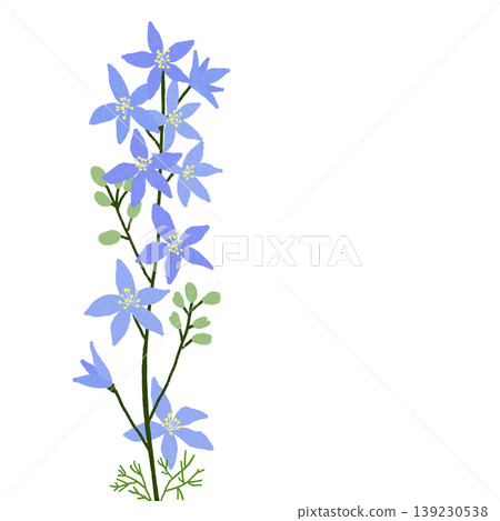 Larkspur Larkspur 139230538