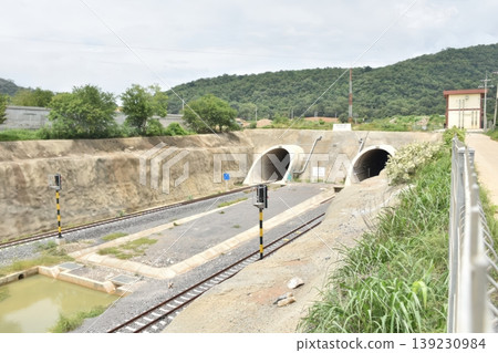 Modern Twin Railway Tunnel Entrances with Tracks and Signal Lights in Rural Landscape 139230984