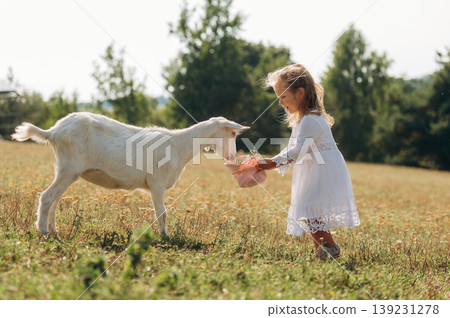 Side view. Little girl is on the goat farm outdoors at daytime Side view. Little girl is on the goat farm outdoors at daytime 139231278