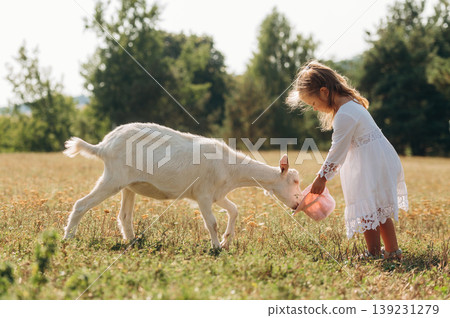 Side view. Little girl is on the goat farm outdoors at daytime Side view. Little girl is on the goat farm outdoors at daytime 139231279