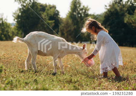 Side view. Little girl is on the goat farm outdoors at daytime 139231280