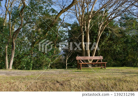 Wooden bench in a forest nature park Wooden bench in a forest nature park 139231296