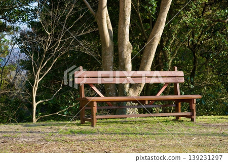 Wooden bench in a forest nature park Wooden bench in a forest nature park 139231297