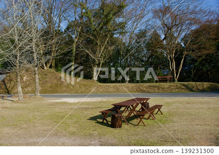 Wooden bench in a forest nature park Wooden bench in a forest nature park 139231300