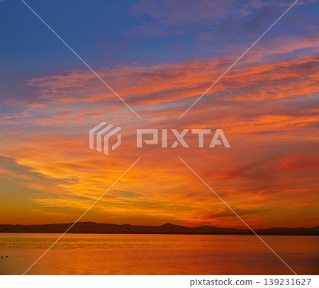La Albufera lake sunset in El Saler of Valencia 139231627