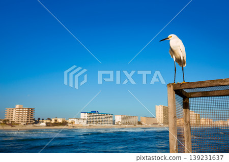 Daytona Beach in Florida from pier US Daytona Beach in Florida from pier US 139231637