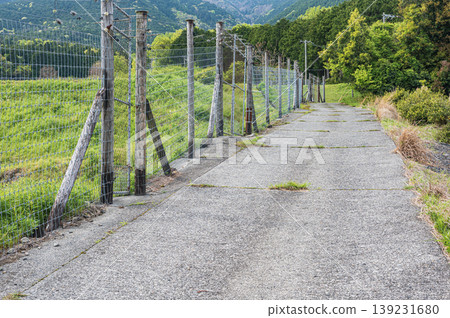 Terraced rice fields of Hachiyado, Otsu City, Shiga Prefecture 139231680