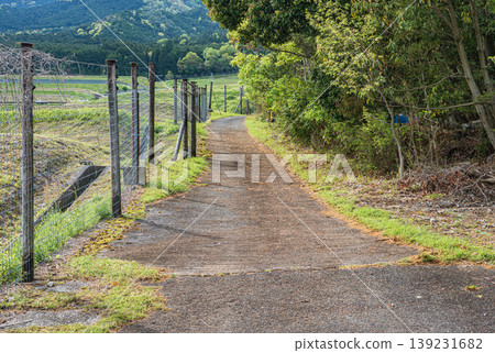 Terraced rice fields of Hachiyado, Otsu City, Shiga Prefecture Terraced rice fields of Hachiyado, Otsu City, Shiga Prefecture 139231682