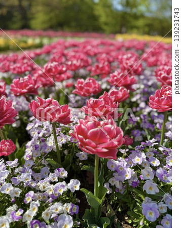 Waltz of the Flowers Waltz of the Flowers 139231743