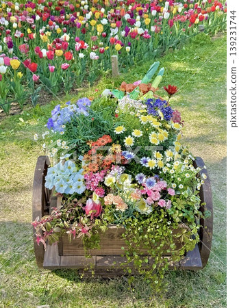 Flowers blooming in the spring flowerbed Flowers blooming in the spring flowerbed 139231744