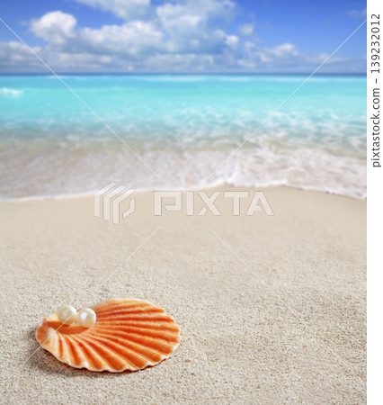 Caribbean pearl on shell white sand beach tropical Caribbean pearl on shell white sand beach tropical 139232012