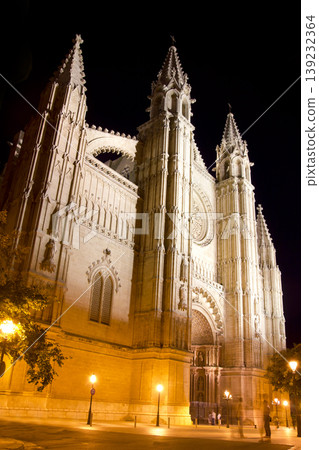 Cathedral of Majorca in Palma de Mallorca night 139232364
