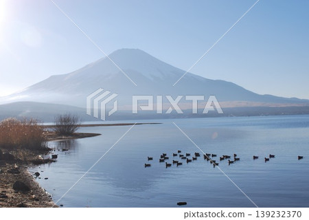 山中湖和富士山沐浴在陽光下。 山中湖和富士山沐浴在陽光下。 139232370