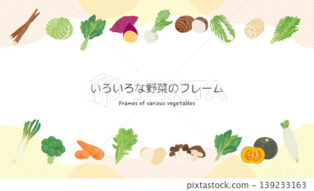 各種蔬菜的邊框插圖 139233163