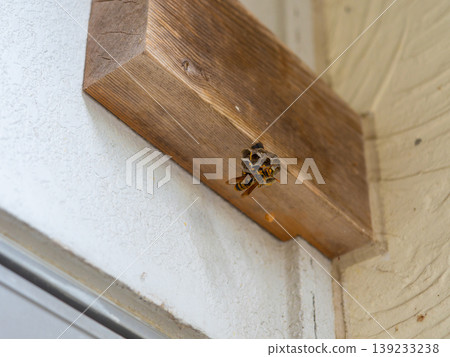 屋簷下有一個紙蜂巢 屋簷下有一個紙蜂巢 139233238