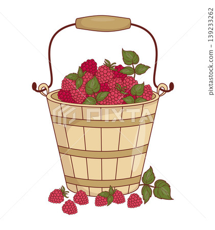Wooden Vintage Bucket With Red Raspberry. Harvesting. Rustic Fresh Summer Harvest. Eco Friendly Organic Fresh Berry. Vector Illustration. Countryside Lifestyle, Garden Foraging. Home Comfort Wooden Vintage Bucket With Red Raspberry. Harvesting. Rustic Fresh Summer Harvest. Eco Friendly Organic Fresh Berry. Vector Illustration. Countryside Lifestyle, Garden Foraging. Home Comfort 139233262