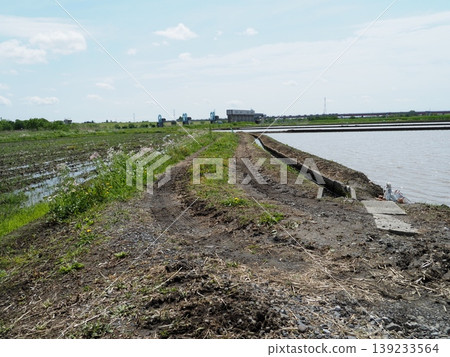 Rice paddies before plowing; preparations for rice planting; a spring tradition; copy space Rice paddies before plowing; preparations for rice planting; a spring tradition; copy space 139233564