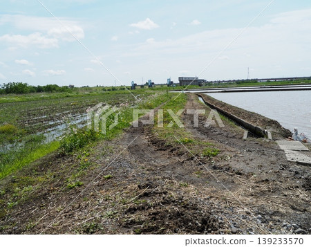 Rice paddies before plowing; preparations for rice planting; a spring tradition; copy space Rice paddies before plowing; preparations for rice planting; a spring tradition; copy space 139233570