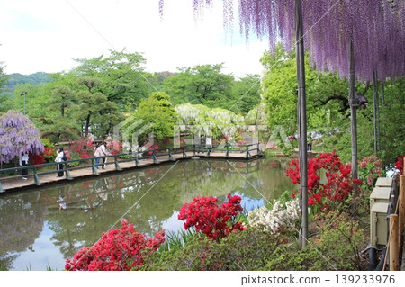 Ashikaga Flower Park Ashikaga Flower Park 139233976