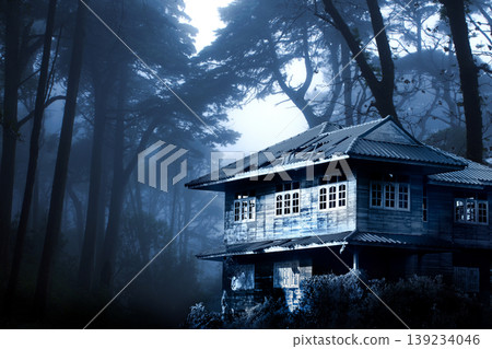 Old abandoned house in the night forest. Horizontal Halloween banner with haunted house. Scary colonial cottage in mysterious forestland. Photo toned in blue color 139234046