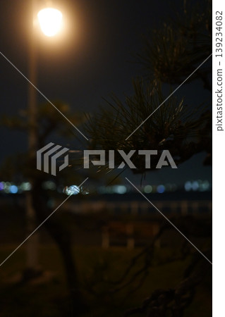 Pine tree lit by streetlight Pine tree lit by streetlight 139234082