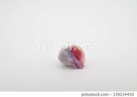 殼牌入口 139234450