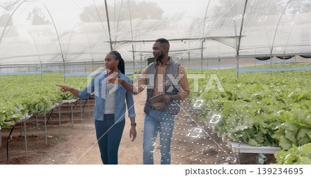 Inspecting lettuce, farm specialists walking pathway inside greenhouse with troughs and tablet 139234695