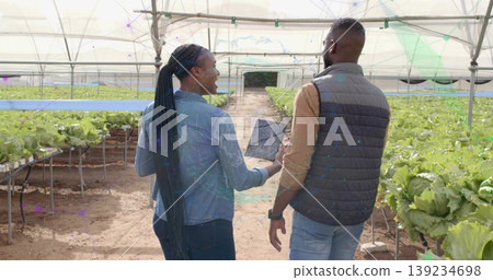 Walking farm technicians discussing lettuce growth inside greenhouse aisle, with laptop and troughs 139234698