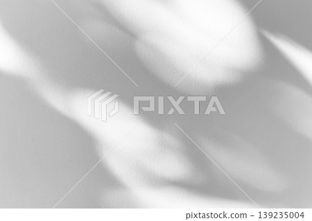 Abstract natural tree branch leaves shadow on white wall background Abstract natural tree branch leaves shadow on white wall background 139235004