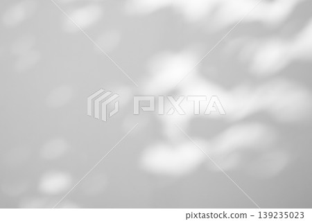 Abstract natural tree leaves shadow on white wall background Abstract natural tree leaves shadow on white wall background 139235023