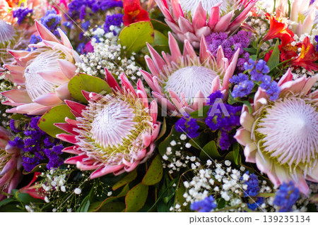 close-up of a bouquet of beautiful Protea giant flowers in the garden close-up of a bouquet of beautiful Protea giant flowers in the garden 139235134