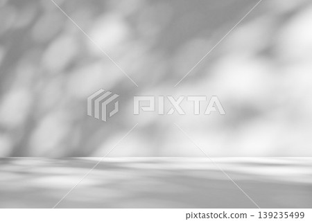 Abstract white studio room with light and shadow from window and tree leaves background for product display presentation Abstract white studio room with light and shadow from window and tree leaves background for product display presentation 139235499