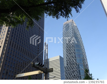 新宿副中心 - 高層建築和摩天大樓 139235781