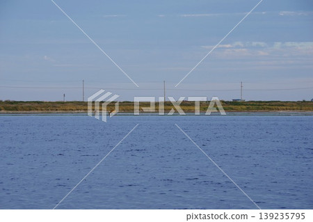 View towards Ryujinzaki from Todohara, Betsukai Town, Hokkaido 139235795