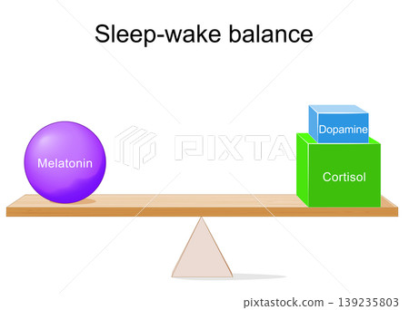 Sleep-wake lever. Hormonal balance of the circadian rhythm melatonin vs cortisol and dopamine Sleep-wake lever. Hormonal balance of the circadian rhythm melatonin vs cortisol and dopamine 139235803