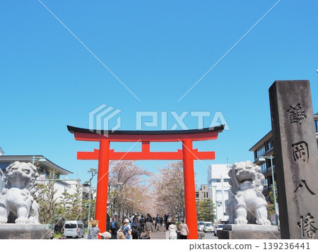 神奈川縣:四月,第二鳥居及丹葛道沿線的櫻花樹。 神奈川縣:四月,第二鳥居及丹葛道沿線的櫻花樹。 139236441