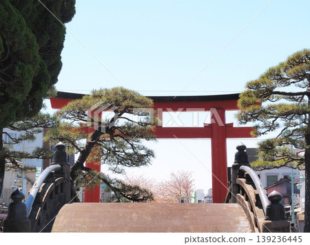 神奈川縣,鶴岡八幡宮,太閣橋和第三鳥居,四月 神奈川縣,鶴岡八幡宮,太閣橋和第三鳥居,四月 139236445