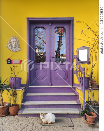 Purple wooden door on yellow wall with cat in Ayvalik Cunda Island Purple wooden door on yellow wall with cat in Ayvalik Cunda Island 139236504