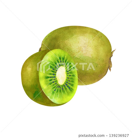 Watercolor illustration with a whole brown fuzzy kiwi and a bright green juicy half. Isolated on a white background. Ideal for healthy food packaging, smoothie recipes, tropical-themed designs Watercolor illustration with a whole brown fuzzy kiwi and a bright green juicy half. Isolated on a white background. Ideal for healthy food packaging, smoothie recipes, tropical-themed designs 139236927