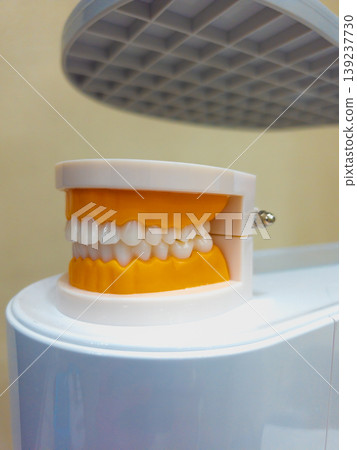 Model Dentures. Dental teeth model Model Dentures. Dental teeth model 139237730