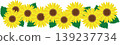 Sunflower frame 139237734