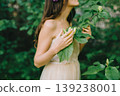 Close up of woman's hands touching green leaves in a sunny garden 139238001