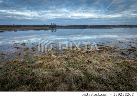 A view of a wet meadow on a cloudy day A view of a wet meadow on a cloudy day 139238268