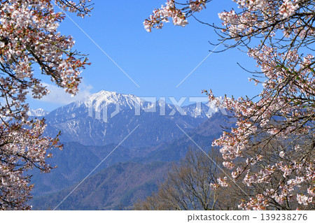 Spring in Shinano Omachi: Northern Alps with cherry blossoms and residual snow Spring in Shinano Omachi: Northern Alps with cherry blossoms and residual snow 139238276